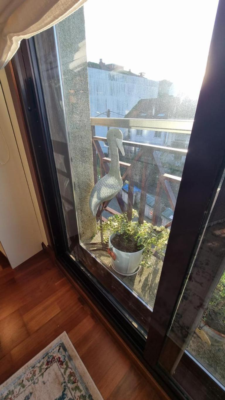 Apartamento 1 Dormitorio 4 Personas En El Grove O Grove Ngoại thất bức ảnh